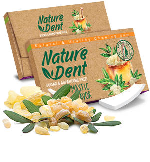 NATURE DENT MASTIC 12.5G