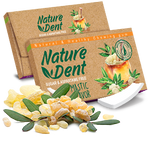 NATURE DENT MASTIC 12.5G
