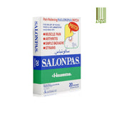 Salonpas Patch 6.5 Cm X 4.2 Cm 20 Patches