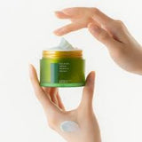 lapalette [ Beauty] Calming Green Refresh Cream